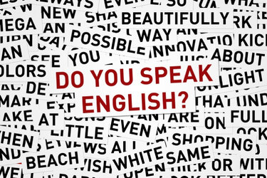 English was recognized as the language of international communication in Ukraine
